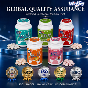Goma de Mascar de Xilitol Sin Azúcar, 60g, 5 Sabores, Certificación Halal, <span class=keywords><strong>Precio</strong></span> de Fábrica, para Suministro al por Mayor a Supermercados - Product Image 4