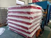 Matelas en mousse roulée pas cher, prix de gros, 8 pouces, simple, double, queen size, matelas en mousse compressée, hôtel, lit, boîte, matelas
