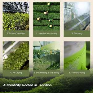 Odm/oem פרטי תווית סופר מזון אורגני מזון סיבי סופר ירקות סופר ירקות ירקות סופר - Product Image 5