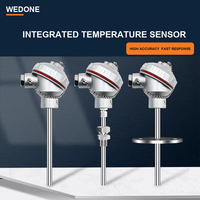 Sensor Suhu Termokopel Industri Wedone dengan Panjang Probe yang Dapat Disesuaikan untuk Tungku Galvanisasi