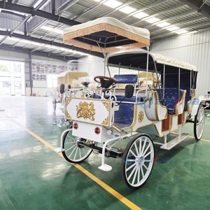 Sightseeing Carriage High Quality Electric Carriage Factory Direct Sale Low Price Three <b>Rows</b> Princess Carriage - Product Image 6