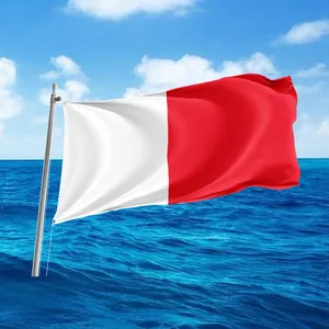 Рекламный товар, дешевый веревочный флаг международного сигнала H I, отправка с водяным терманом, двусторонний полиэфирный флаг с буквой H