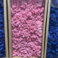200/boîte de mousse de renne naturelle stabilisée et préservée pour la décoration