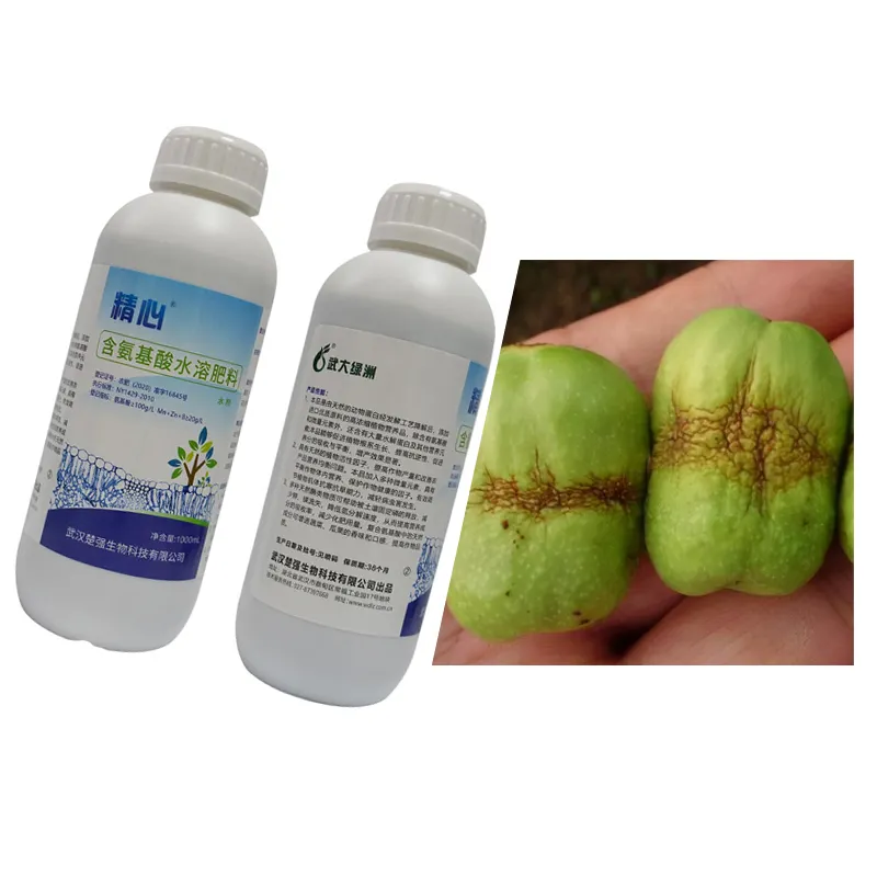 Jingxin الأسمدة تحسين الفاكهة المشوهة منع نقص المغذيات تعزيز التجذير