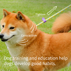 Conjunto de <span class=keywords><strong>collar</strong></span> de correa de perro y gato de nailon duradero para entrenamiento táctico de cuerda de plomo antideslizante fuerte con logotipo personalizado de lujo de fabricante - Product Image 5