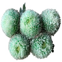Karangan Bunga Peony Krisan Kunming Yunnan, Bahan Rambut Lurus, Warna Lengkap, Bunga Potong, untuk Pesta Peresmian Rumah dan Kunjungan