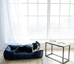 Cama para Perro Personalizada al por Mayor, Impermeable, de Forma Cuadrada, Cómoda, de Gamuza y Pana, Transpirable, Extraíble y Lavable - Product Image 6