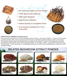 Extracto de Cordyceps sinensis 50% Polisacáridos en polvo Extracto de hongo Cordyceps sinensis - Product Image 4