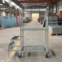Chariot de picking robuste pour entrepôt avec échelle pliante, chariot logistique multi-niveaux en treillis métallique pour l'e-commerce