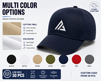 Casquette de baseball personnalisée en gros à 5 panneaux en coton, visière incurvée réglable, logo brodé, unisexe, promotionnelle, style « Dad Hat »
