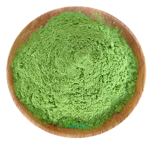 100G Per Zak Natuurlijke Gezondheid Ashitaba Poeder <span class=keywords><strong>Angelica</strong></span> <span class=keywords><strong>Keiskei</strong></span> Poeder Morgen Bladpoeder - Product Image 2