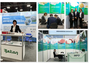 Top Quality <strong>Natural</strong> Herba <strong>Andrographis</strong> <strong>P.E</strong> Dehydroandrographolide Powder Food Grade - Product Image 4