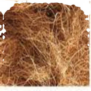 Fibra de coco natural de alta calidad para colchones, cepillos, cuerdas, esteras para cultivo, fibra de coco para mantillo, venta al por mayor de La India - Product Image 1
