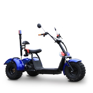 EU 1000W/1500W/2000W Self Balancing Aluminum Full Suspension Waterproof Three Wheel Scooter - Product Image 1