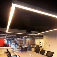 Lumières linéaires LED rectangulaires personnalisées pour les solutions d'éclairage de salle de sport