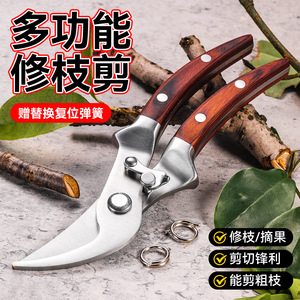 Sécateur de jardin Yu Jian en acier inoxydable avec manche en bois de rose, coupe maximale de 5,2 cm pour arbres fruitiers - Product Image 2
