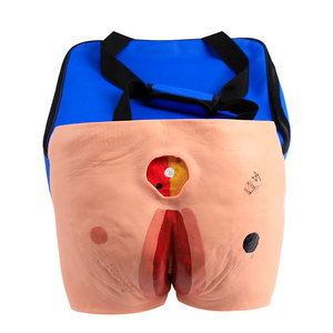 Modelo de Cuidado de Úlceras por Presión (<span class=keywords><strong>escaras</strong></span>) - Modelo para la Limpieza de Úlceras en Ancianos, Modelo de Entrenamiento - Product Image 1