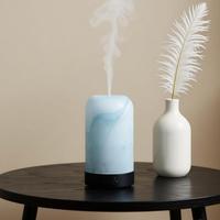 Diffuseur d'huiles essentielles mat givré, humidificateur électrique à ultrasons en verre élégant, brume froide, usage domestique, capacité 100 ml