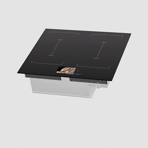Table de cuisson à <span class=keywords><strong>induction</strong></span> avec <span class=keywords><strong>hotte</strong></span> à courant descendant <span class=keywords><strong>intégrée</strong></span> - Product Image 1