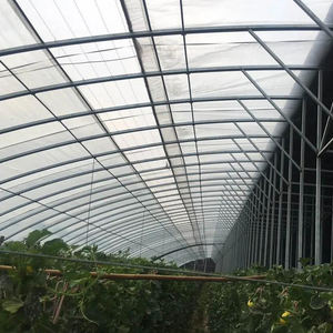 Túnel <span class=keywords><strong>de</strong></span> polietileno agrícola comercial <span class=keywords><strong>de</strong></span> alta resistencia, invernadero <span class=keywords><strong>de</strong></span> un solo tramo, <span class=keywords><strong>planta</strong></span> <span class=keywords><strong>de</strong></span> hongos <span class=keywords><strong>de</strong></span> película <span class=keywords><strong>de</strong></span> PE moderna <span class=keywords><strong>de</strong></span> bajo costo - Product Image 1