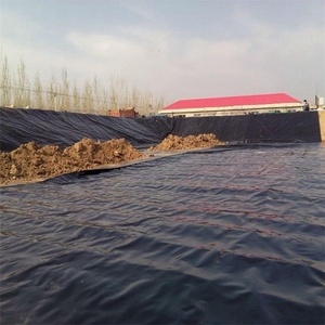 HDPE LDPE LLDPE 1mm 1.5mm 2mm nhựa đập lót Ao Cá Ao tôm trang trại bãi rác biodigester geomembrane hiện đại - Product Image 2