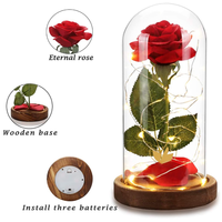 Vente en gros Cloche de roses en verre Mini dôme de roses éternelles conservées Fleur dans un dôme en verre avec lumières LED