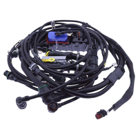 Piezas de Repuesto para Camiones de Trabajo Pesado OEM 7421545827, Arnés de Cables para Inyector de Combustible, Aplicable a Arnés de Motor RVI Kerax Premium