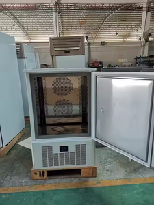 IQF-40 nhiệt độ thấp sốc Tủ đông Ice Block Blast tủ đông thịt nhanh chóng đóng băng máy - Product Image 2