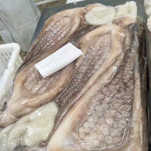 <span class=keywords><strong>Pulpo</strong></span> gigante congelado de alta calidad a buen <span class=keywords><strong>precio</strong></span>, <span class=keywords><strong>pulpo</strong></span> de Perú, <span class=keywords><strong>pulpo</strong></span> <span class=keywords><strong>grande</strong></span> - Product Image 5