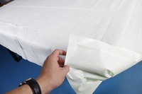 Nappe jetable de qualité supérieure XiangSheng, 2 plis, papier, film PE, imperméable, anti-huile, idéale pour les fêtes, la restauration, parfait pour les repas quotidiens