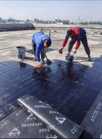 Base de tapis en polyester avec membrane imperméable et revêtement anti-vieillissement pour travaux de terrasses de bâtiments industriels