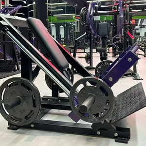 Gym Equipment Free Weight Plate Loaded Seated <b>Row</b> <b>Machine</b> FL31 Rowing <b>Machine</b> Gym Equipment Linear <b>Row</b> <b>Machine</b> Back <b>Row</b> <b>Machine</b> - Product Image 5