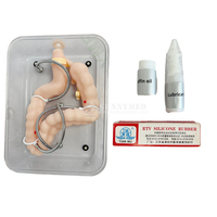 Modèle d'entraînement à la coloscopie anatomique réaliste SY-NS20, structure complète du côlon pour la pratique pédagogique en gastroentérologie universitaire