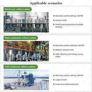 Industrie Zonnebloem Mini Vis Modulaire Kopra Kokosolie Raffinaderij Machine Voor Olie - Product Image 3