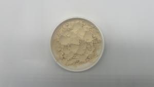 ผงโพลีแซคคาไรด์จากสารสกัดออริคิวลาเรีย - Product Image 4