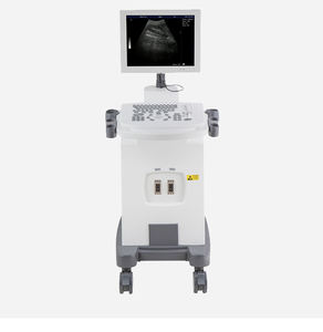 <span class=keywords><strong>15</strong></span> inci B & W troli Digital penuh pemindai <span class=keywords><strong>Ultrasound</strong></span> peralatan diagnostik medis <span class=keywords><strong>Ultrasound</strong></span> & mesin <span class=keywords><strong>Ultrasound</strong></span> Harga DW-350 - Product Image 1