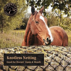 Lớn nặng <span class=keywords><strong>Bale</strong></span> <span class=keywords><strong>hay</strong></span> <span class=keywords><strong>Net</strong></span> ngựa 6 '6 ''toàn bộ vuông <span class=keywords><strong>Bale</strong></span> chậm thức ăn <span class=keywords><strong>hay</strong></span> <span class=keywords><strong>Net</strong></span> Feeder chăn nuôi thiết bị đào tạo 1.5'' lỗ - Product Image 5