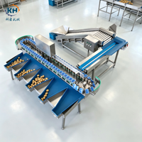 In China geproduceerde multifunctionele aardappel sorteermachine met doos sorteerder & toevoerelevator. Complete testrapporten meegeleverd.