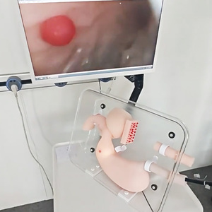 Modelo de entrenamiento de endoscopia de estómago de alta fidelidad, para entrenamiento de GASTROSCOPIO - Product Image 5