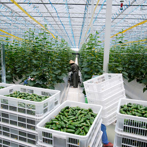 Invernadero agrícola multitramo aislado de vidrio templado con control solar grande con ventilación totalmente automatizada para agricultura - Product Image 4