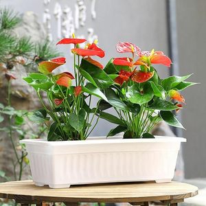 Vente flash : Pot de jardin rectangulaire <span class=keywords><strong>en</strong></span> plastique de 60 cm, style corinthien, pour chambre à coucher - Product Image 3