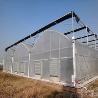 Invernadero de Plástico para Agricultura Comercial, Túnel de Cultivo de Polycarbonato para Hongos, Invernadero Multi-Span en Venta