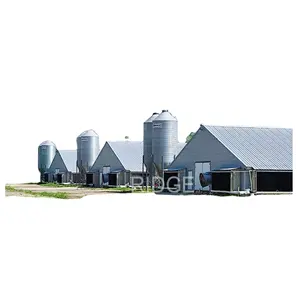 Modern Design Poultry Farm Building Prefabricated Houses Steel Structure Broiler Chicken Shed And House