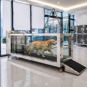 Electrical Motorized Stainless Steel Underwater <b>Treadmill</b> for Large <b>Dogs</b> Pets Water Hydrotherapy Rehabilitation Veterinary Clin - Product Image 1