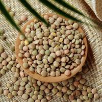 Vente en gros de petites lentilles vertes séchées, vente en gros,