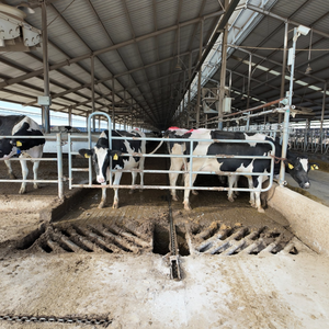 Barreras de Puerta Galvanizadas por Inmersión en Caliente Personalizadas con Tamaño Flexible, Puerta de Barrera para Soluciones a Medida en Granjas Ganaderas - Product Image 5