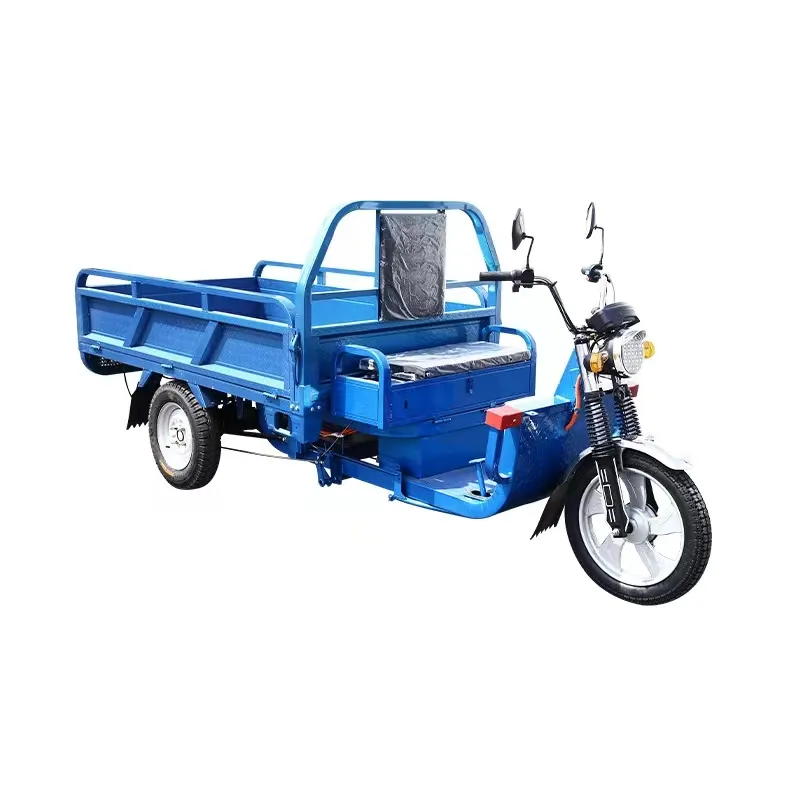 Sepeda motor roda tiga listrik 3 roda kargo murah terlaris sepeda motor listrik dewasa skuter mobilitas 48V 600W motor