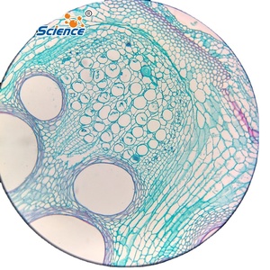 25 lames de microscope d'histologie pour que les élèves et les enfants apprennent la préparation des insectes et des plantes à l'école - Product Image 1