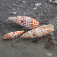 Ornement en gros Petit escargot rouge Artisanat Cadeau Ornements Escargot Koi Coquillages d'escargots de mer naturels