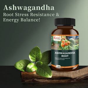 Extractos de Ashwagandha en Cápsulas (120 Unidades), Favorecen el Estado de Ánimo y la Reducción del Estrés en Hombres y Mujeres - Product Image 2